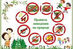 правила поведения летом на природе